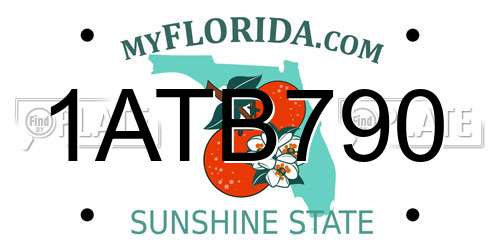 1ATB790 Florida License Plate