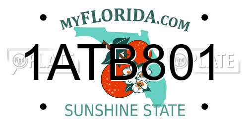 1ATB801 Florida License Plate