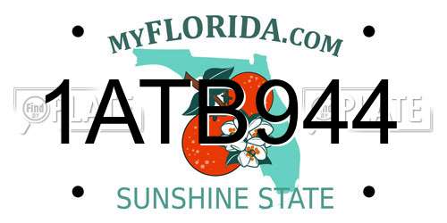 1ATB944 Florida License Plate