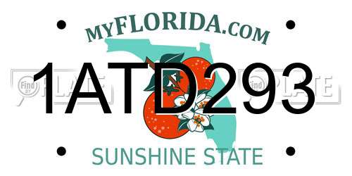 1ATD293 Florida License Plate