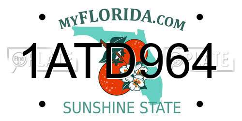 1ATD964 Florida License Plate