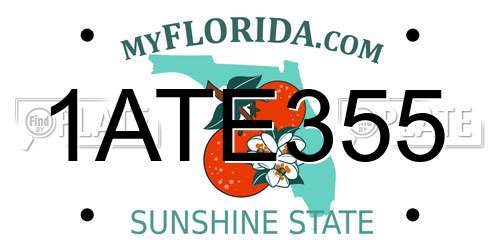1ATE355 Florida License Plate