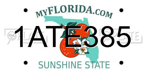 1ATE385 Florida License Plate