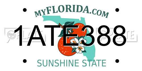 1ATE388 Florida License Plate