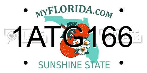 1ATG166 Florida License Plate