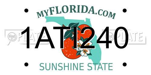 1ATI240 Florida License Plate