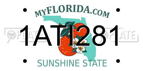 1ATI281 Florida License Plate