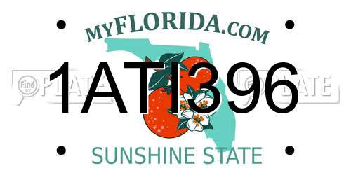1ATI396 Florida License Plate