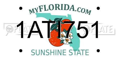 1ATI751 Florida License Plate