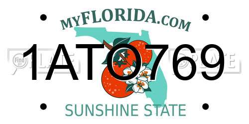 1ATO769 Florida License Plate