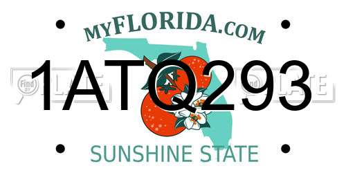 1ATQ293 Florida License Plate