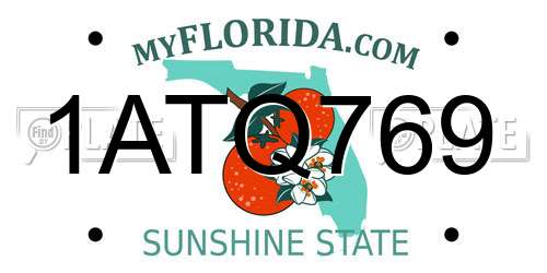 1ATQ769 Florida License Plate