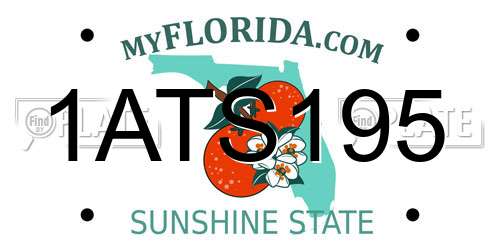 1ATS195 Florida License Plate