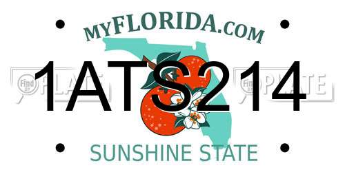 1ATS214 Florida License Plate