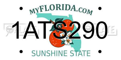 1ATS290 Florida License Plate