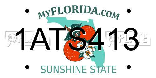 1ATS413 Florida License Plate