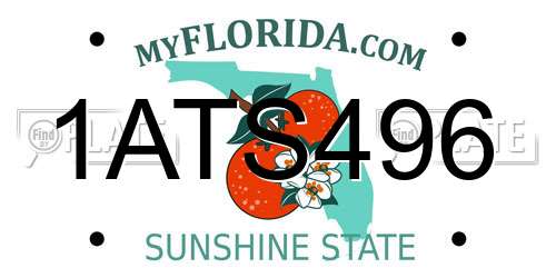 1ATS496 Florida License Plate