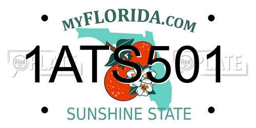 1ATS501 Florida License Plate