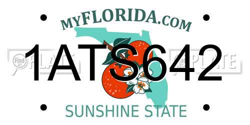 1ATS642 Florida License Plate
