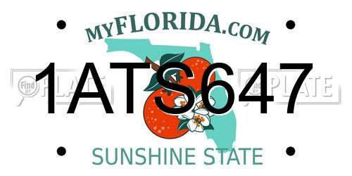 1ATS647 Florida License Plate