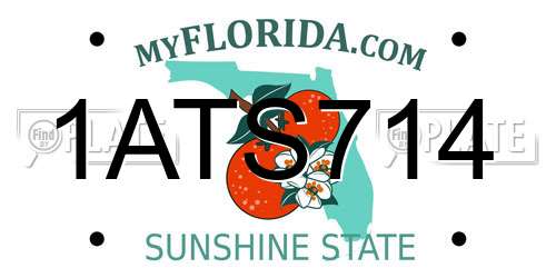 1ATS714 Florida License Plate