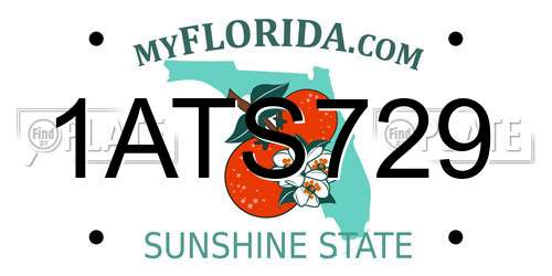 1ATS729 Florida License Plate