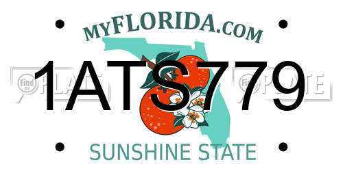 1ATS779 Florida License Plate