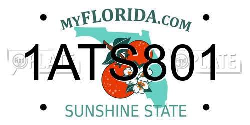 1ATS801 Florida License Plate