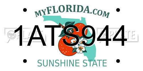 1ATS944 Florida License Plate