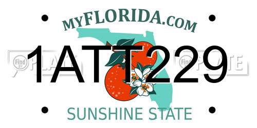 1ATT229 Florida License Plate