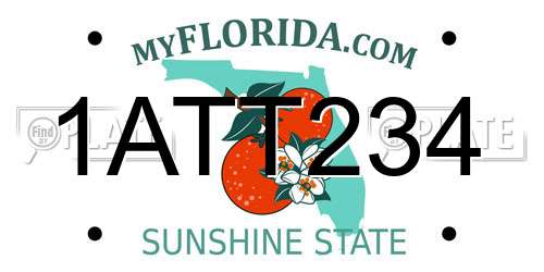 1ATT234 Florida License Plate