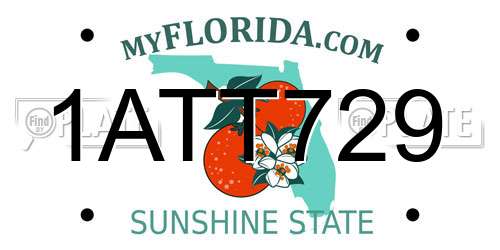 1ATT729 Florida License Plate
