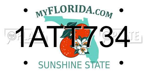 1ATT734 Florida License Plate