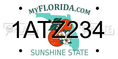 1ATZ234 Florida License Plate