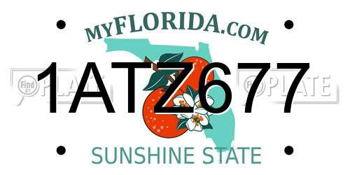 1ATZ677 Florida License Plate