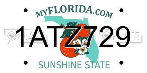 1ATZ729 Florida License Plate