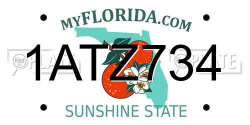 1ATZ734 Florida License Plate