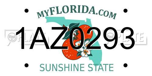 1AZ0293 Florida License Plate