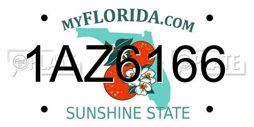 1AZ6166 Florida License Plate
