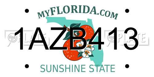 1AZB413 Florida License Plate