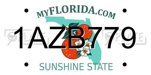 1AZB779 Florida License Plate