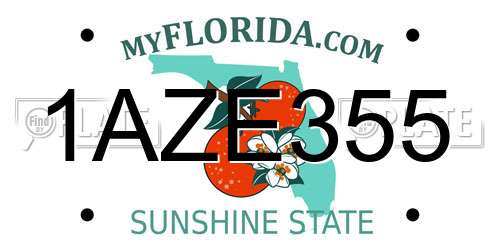 1AZE355 Florida License Plate