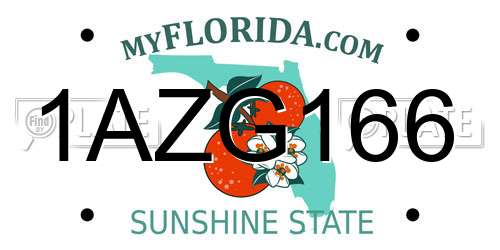 1AZG166 Florida License Plate