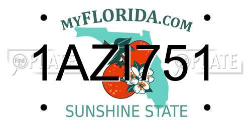 1AZI751 Florida License Plate