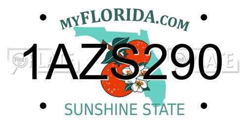 1AZS290 Florida License Plate