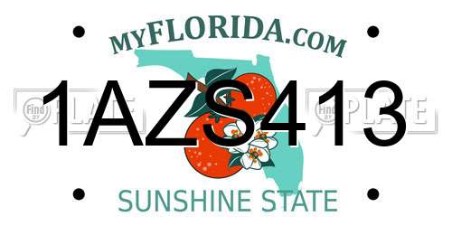 1AZS413 Florida License Plate