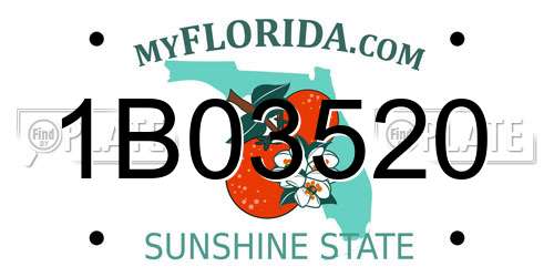 1B03520 Florida License Plate