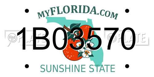 1B03570 Florida License Plate