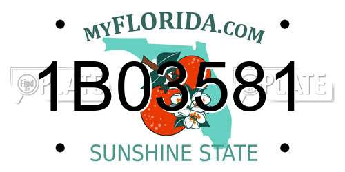 1B03581 Florida License Plate