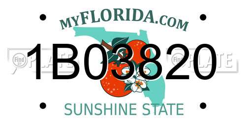 1B03820 Florida License Plate